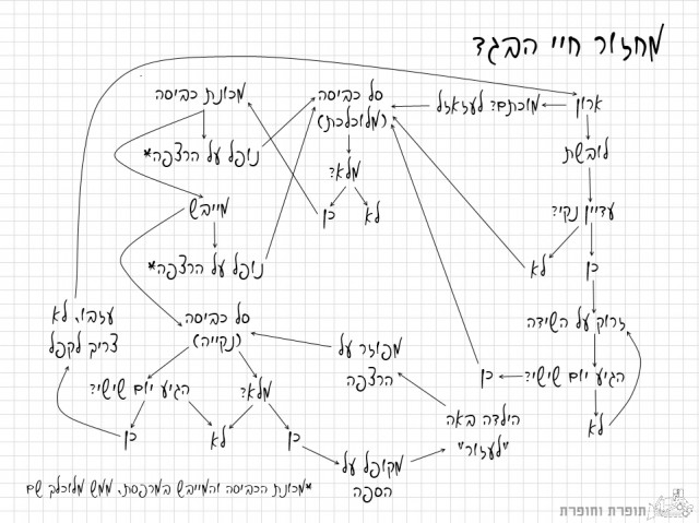 כביסה